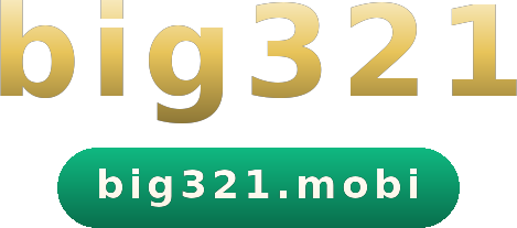 big321 logo